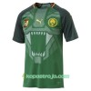 Billiga Fotbollströjor Kamerun Hemma tröja 2018